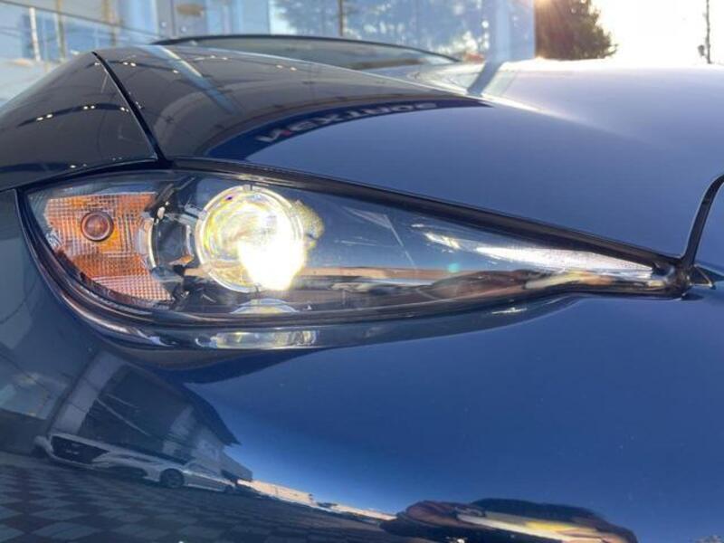 ROADSTER
