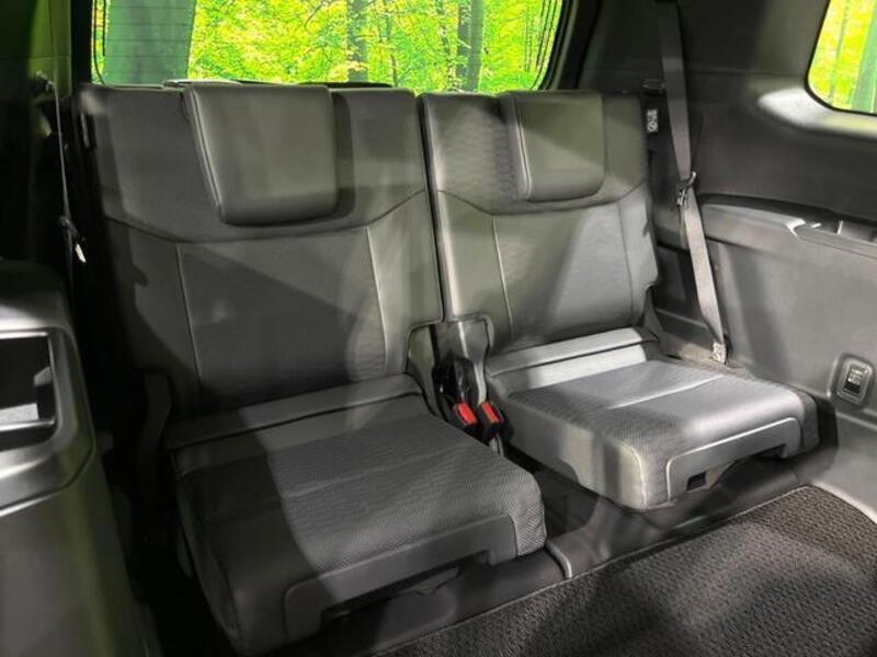 LAND CRUISER 250