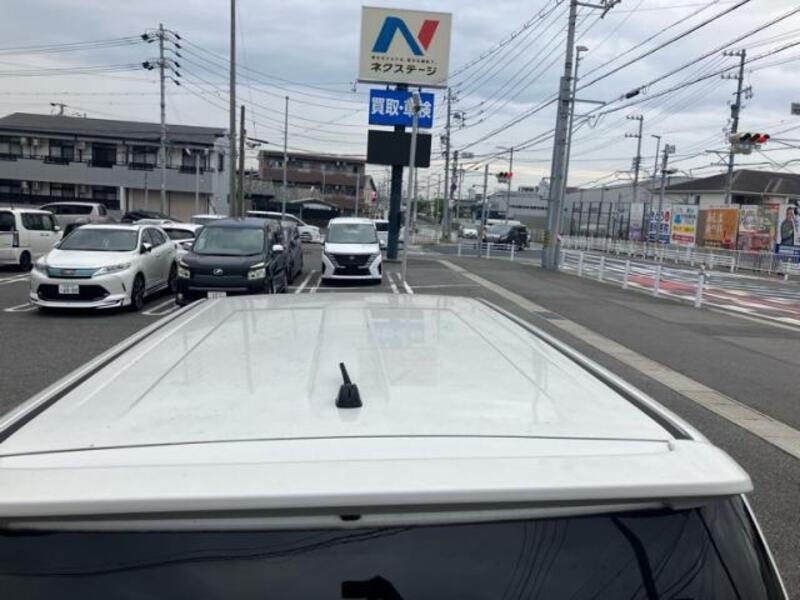 COROLLA RUMION