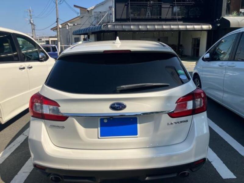 LEVORG