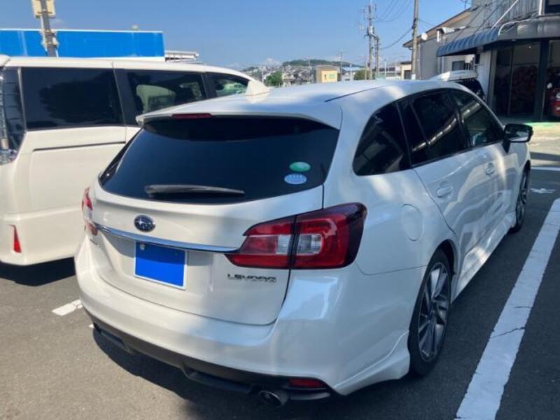 LEVORG