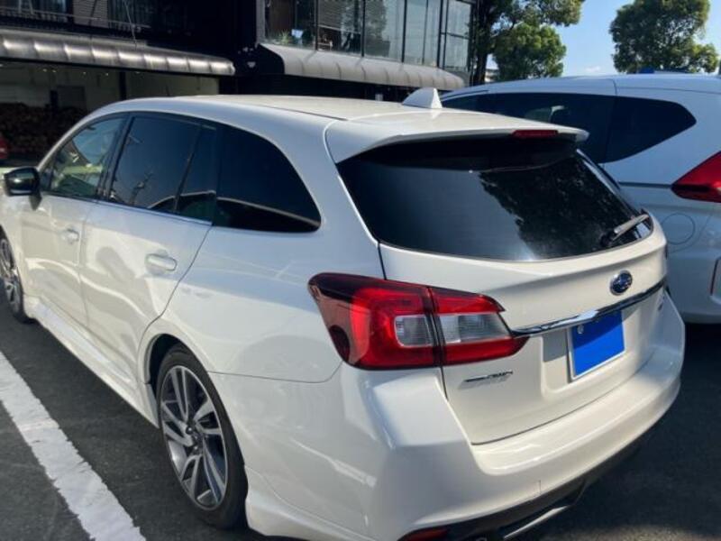 LEVORG