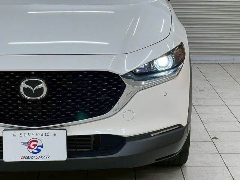 CX-30