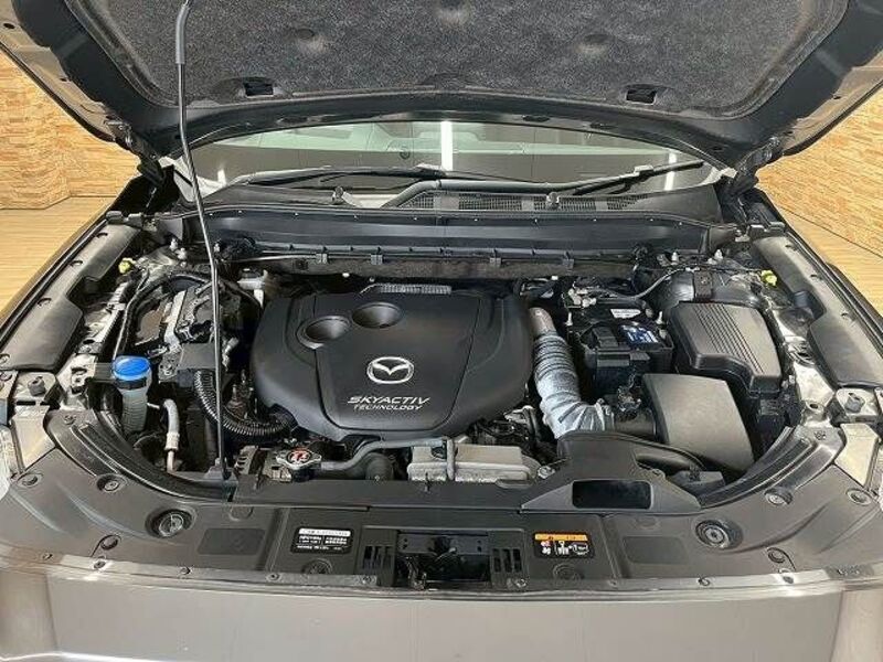 CX-8