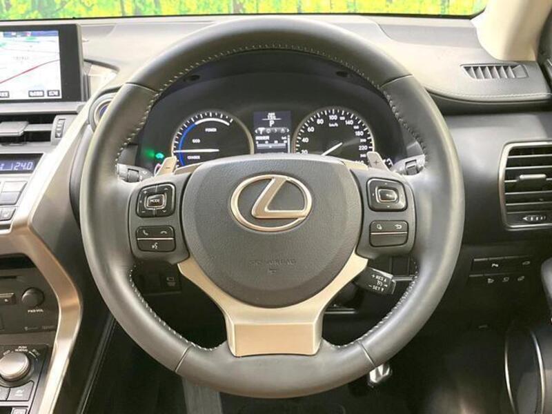 NX