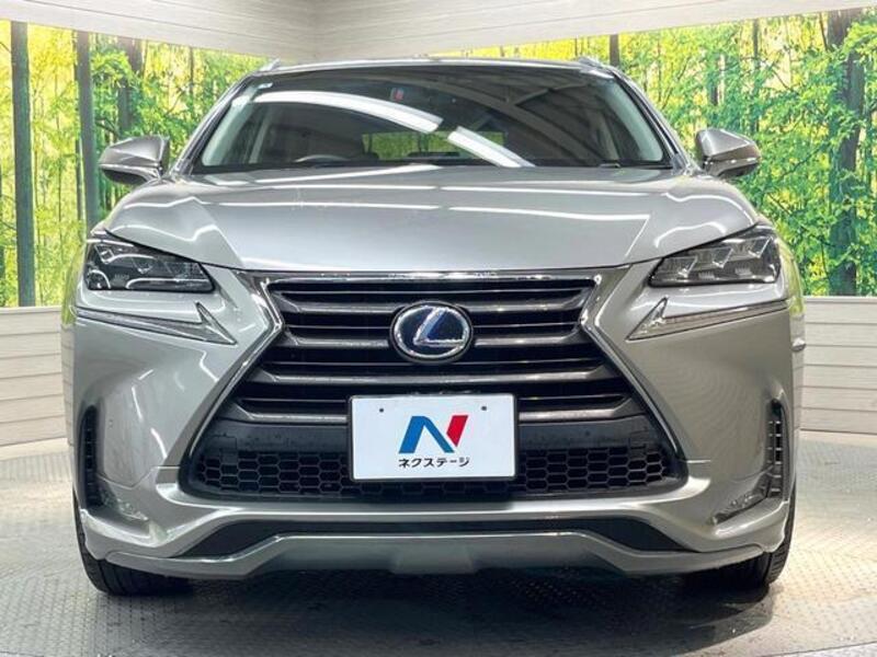 NX