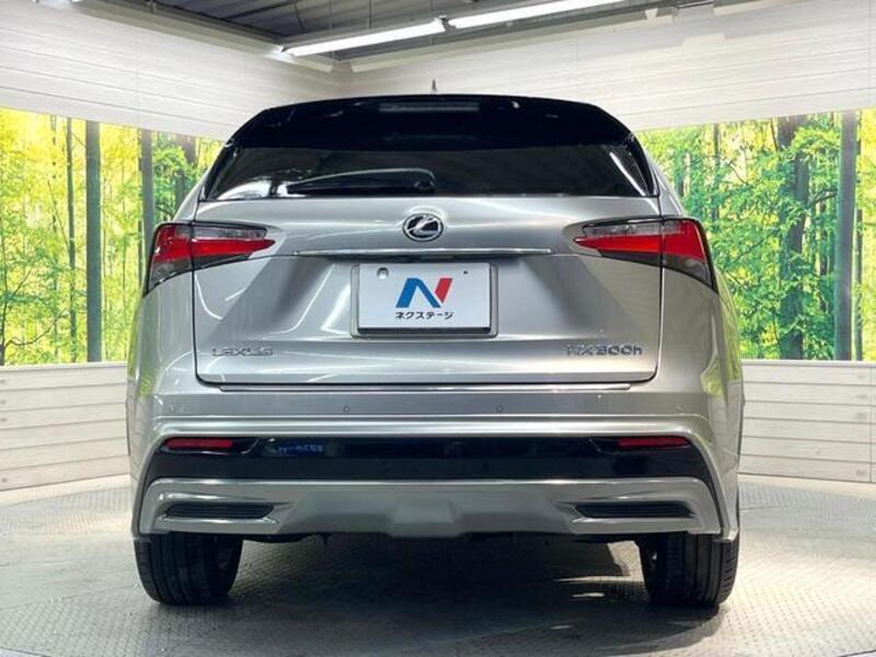 NX