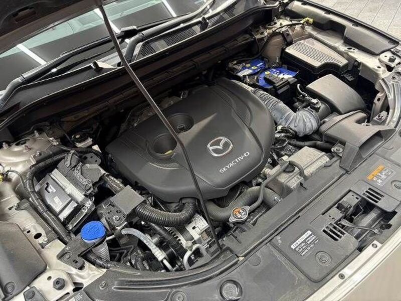 CX-8