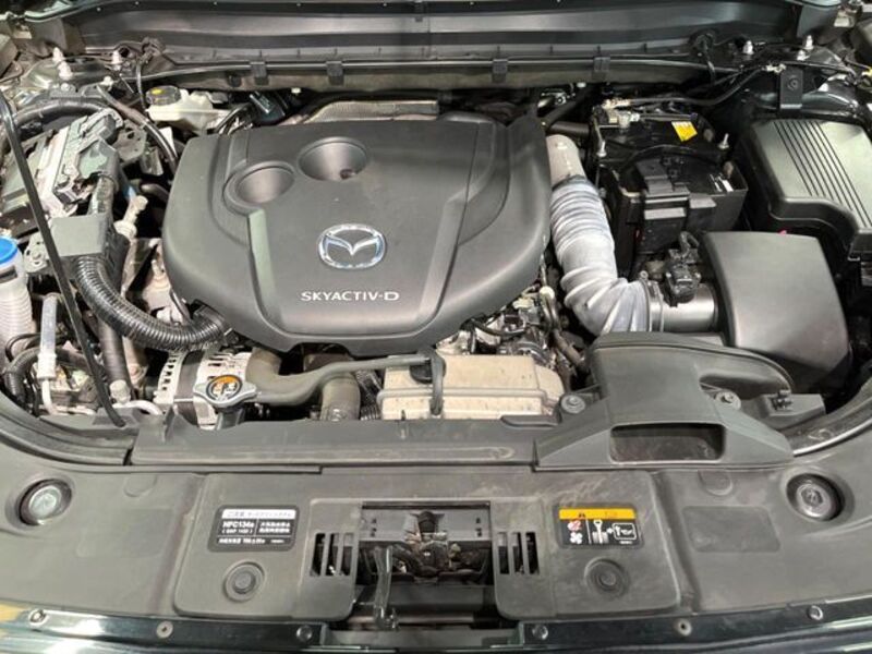 CX-8
