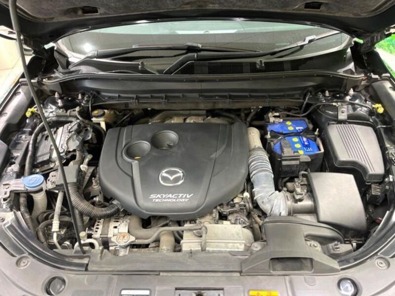 CX-8