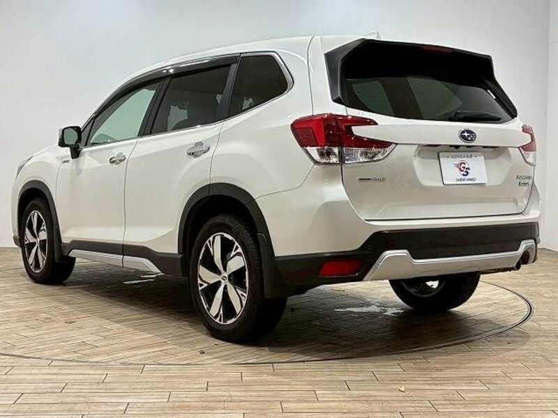 FORESTER