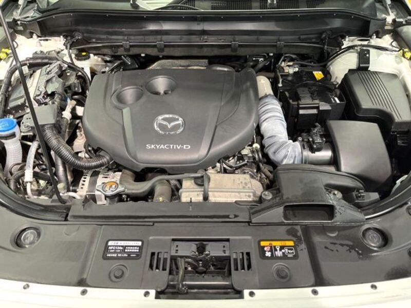 CX-8
