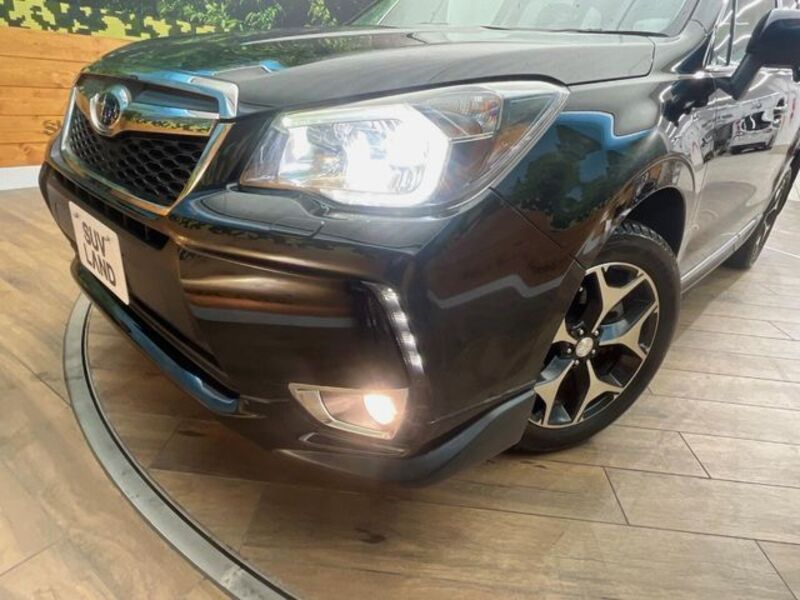 FORESTER