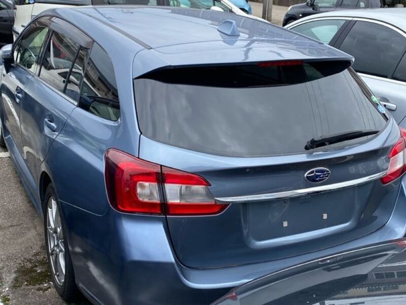 LEVORG