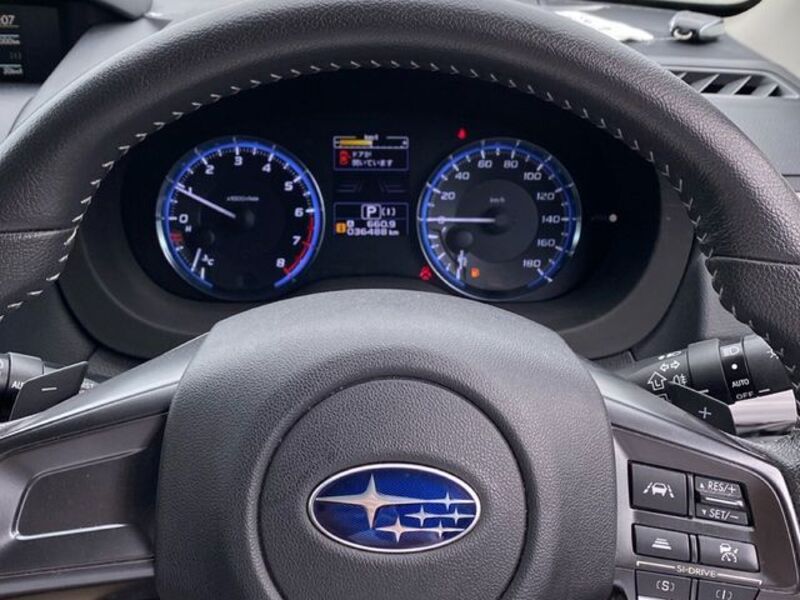 LEVORG
