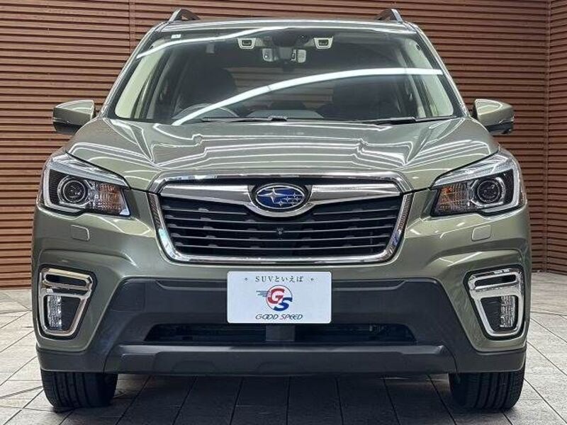 FORESTER