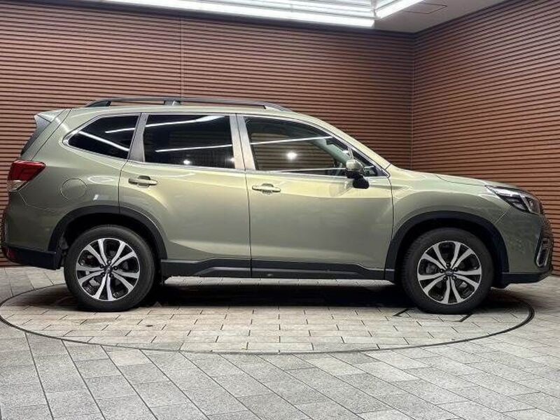 FORESTER