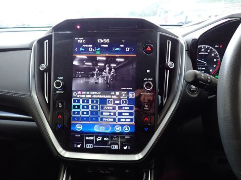 LEVORG