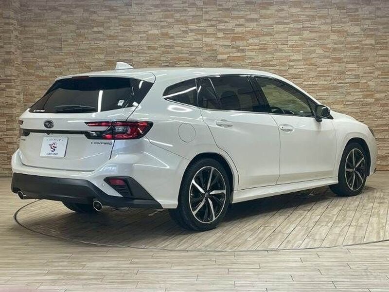 LEVORG