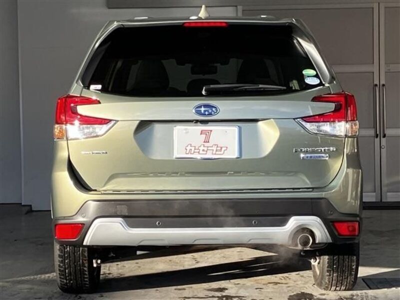 FORESTER