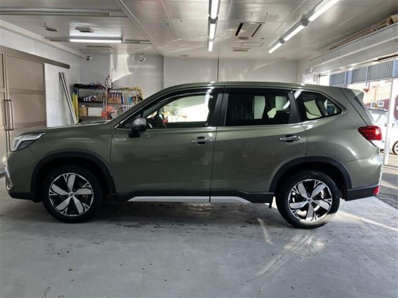 FORESTER