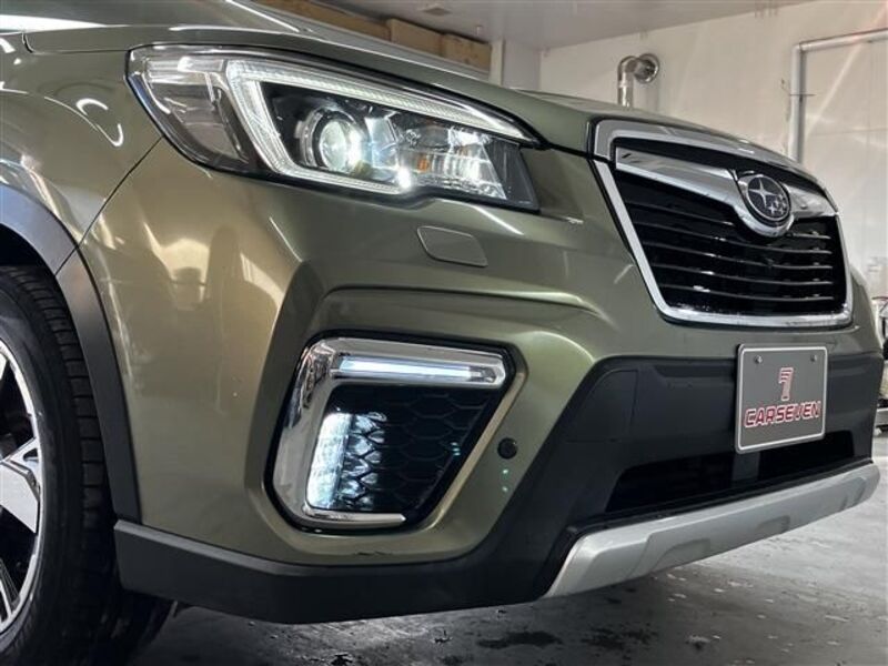 FORESTER