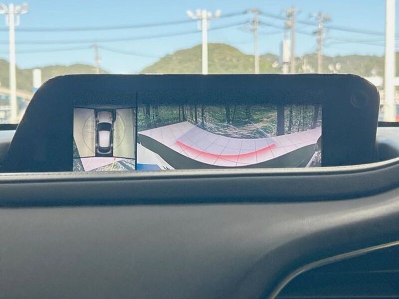 CX-30