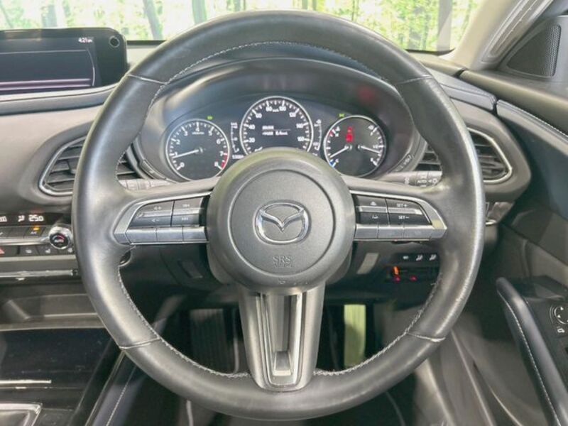 CX-30