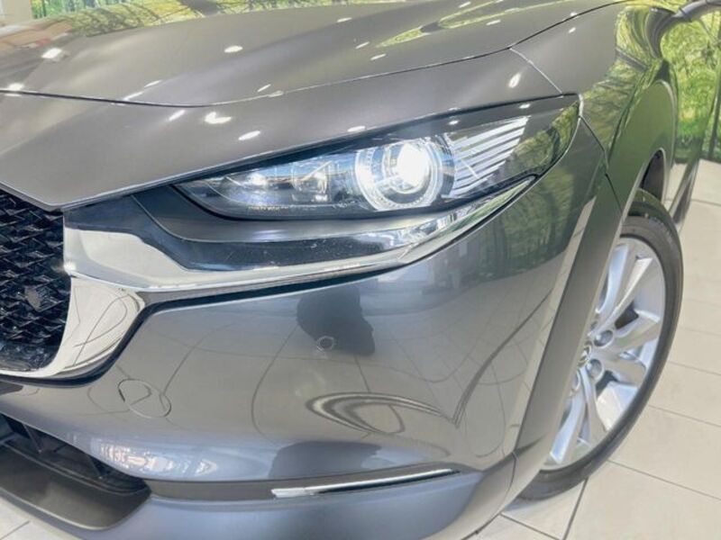 CX-30