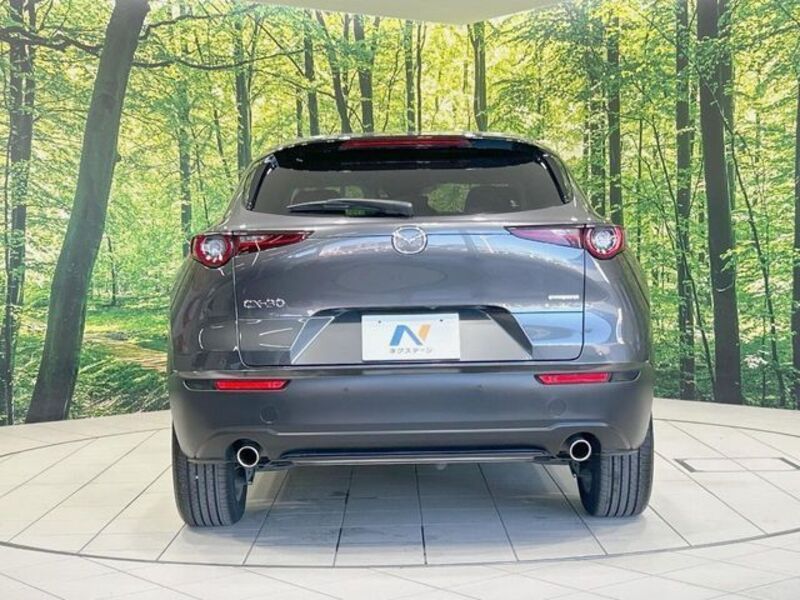 CX-30
