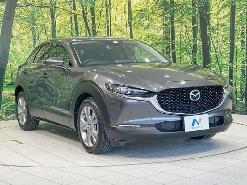 CX-30