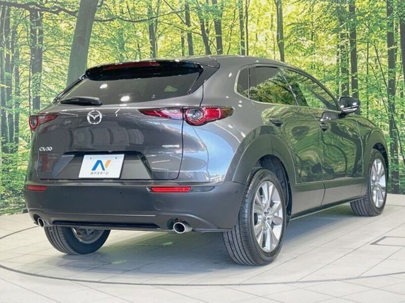 CX-30