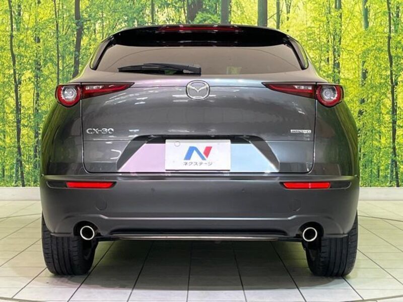 CX-30