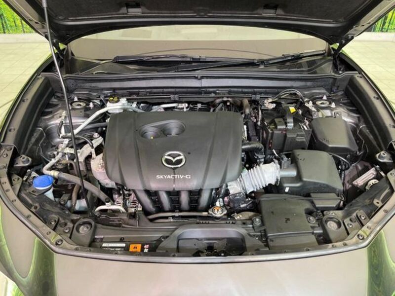 CX-30