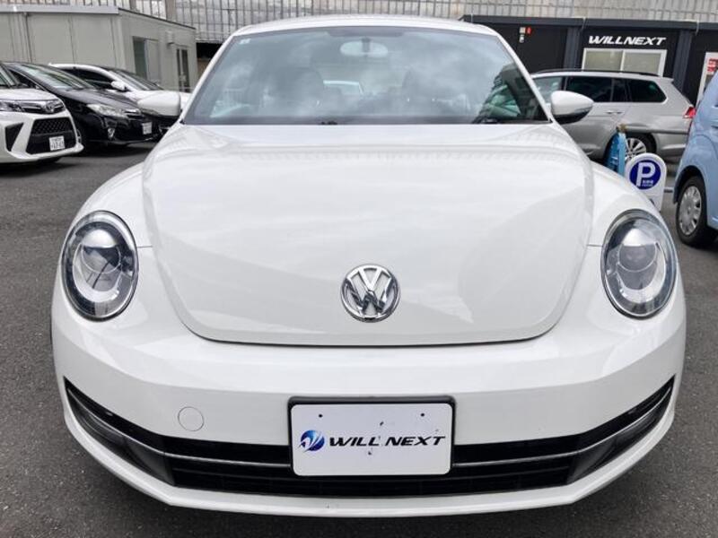 THE BEETLE