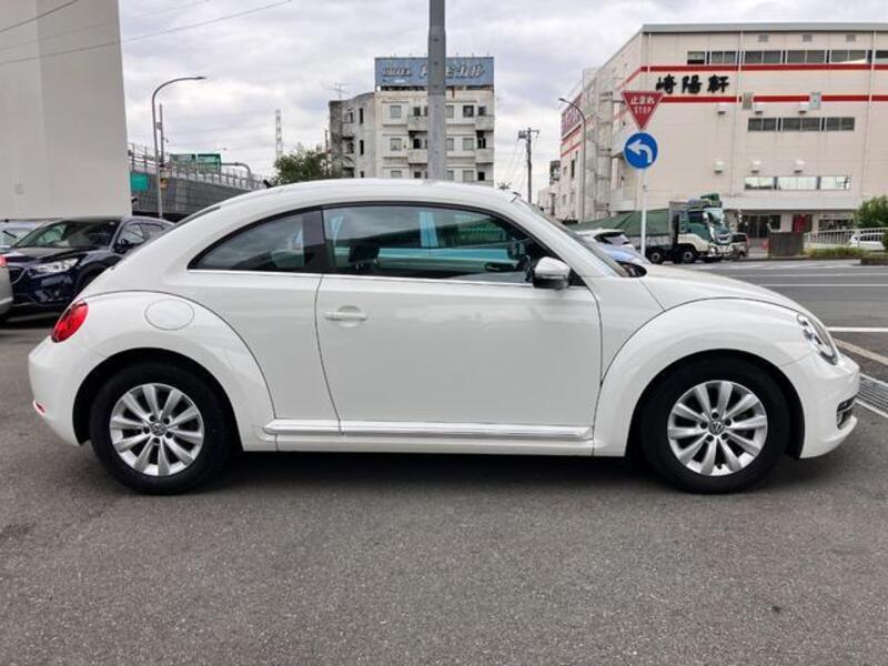 THE BEETLE