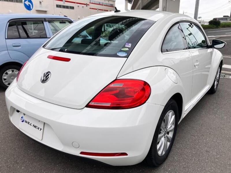 THE BEETLE