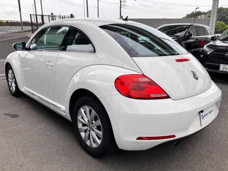 THE BEETLE