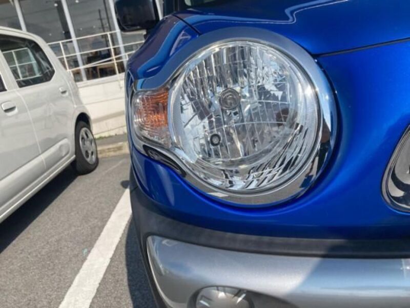 XBEE