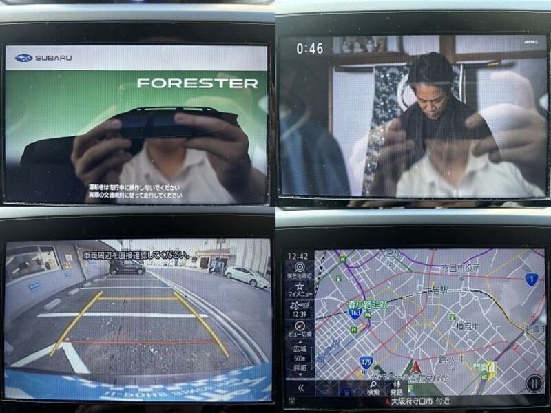 FORESTER