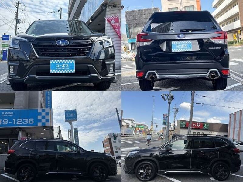 FORESTER