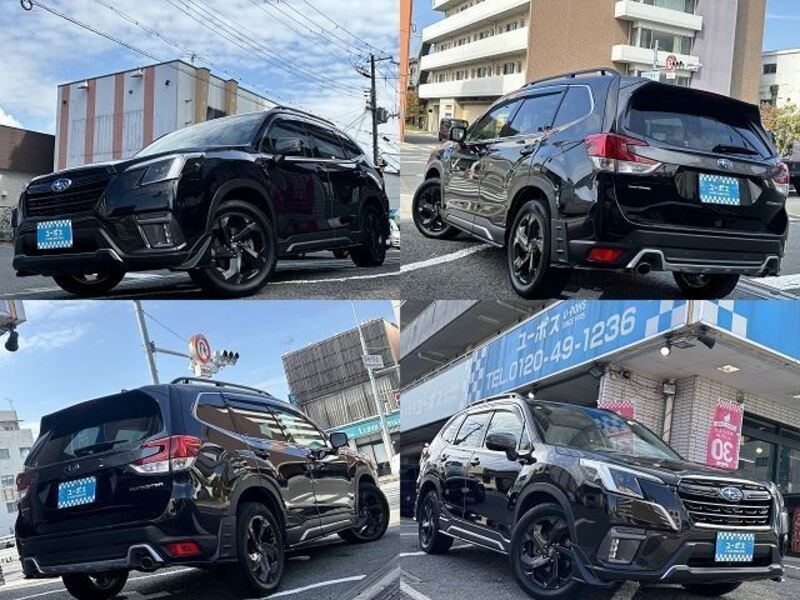 FORESTER