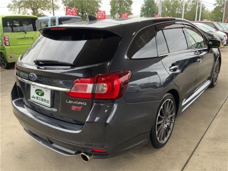 LEVORG