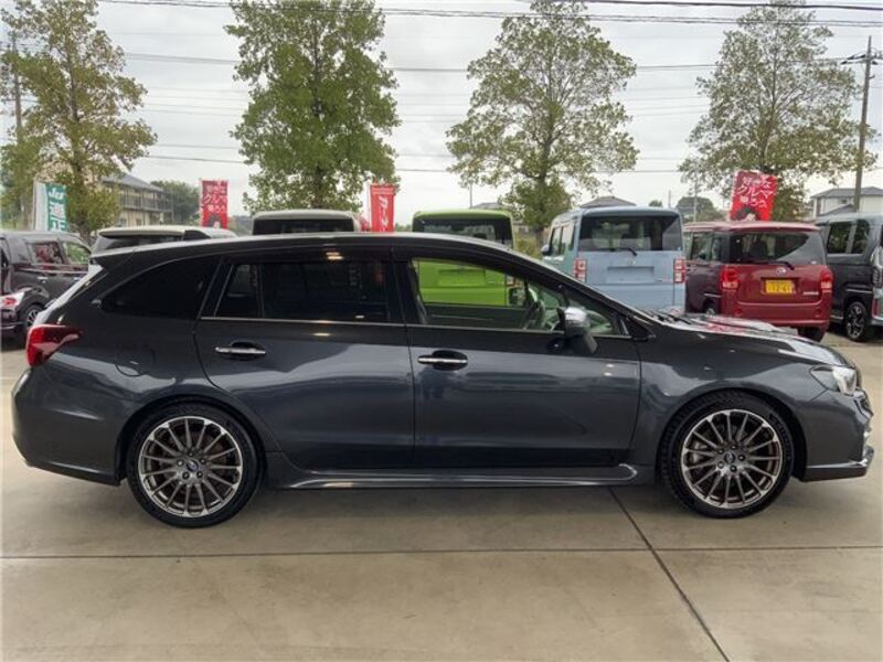 LEVORG