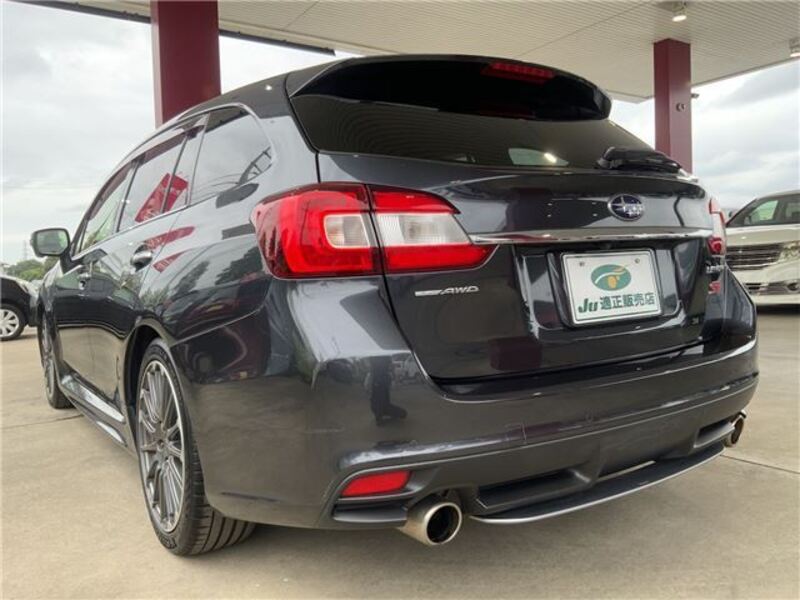 LEVORG