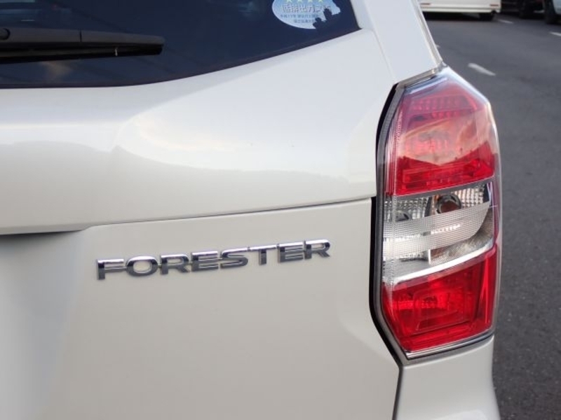 FORESTER