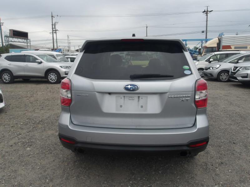 FORESTER