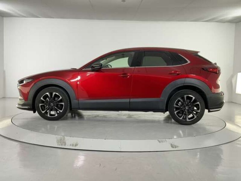 CX-30
