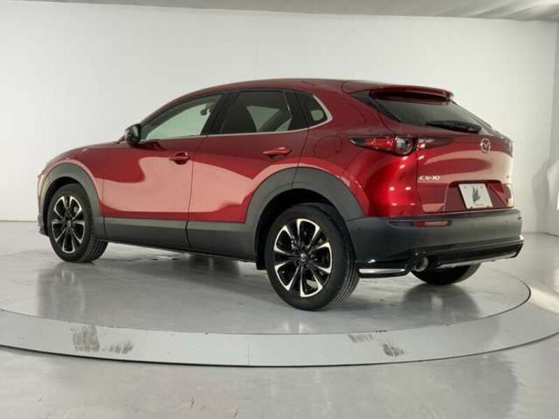 CX-30