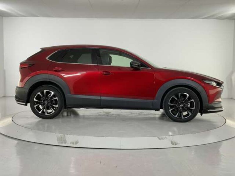 CX-30